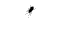 kaefer3